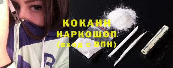 мдпв Протвино