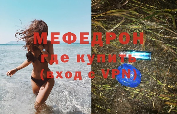 трава Карпинск