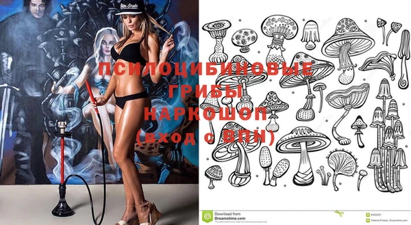 дживик Козловка